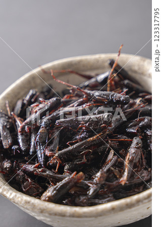 いなごの甘露煮 昆虫食 123317795