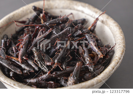 いなごの甘露煮 昆虫食 いなごの甘露煮 昆虫食 123317796
