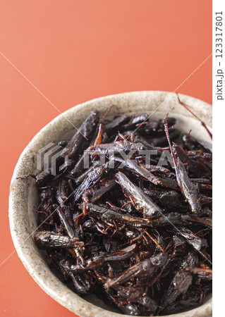 いなごの甘露煮 昆虫食 いなごの甘露煮 昆虫食 123317801