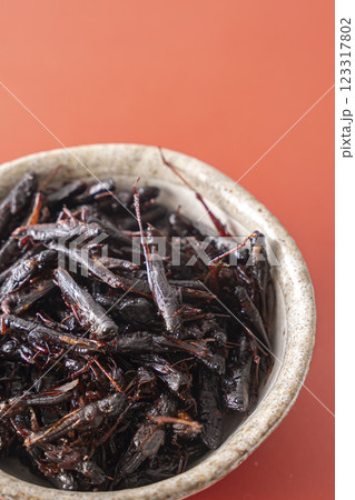 いなごの甘露煮 昆虫食 123317802