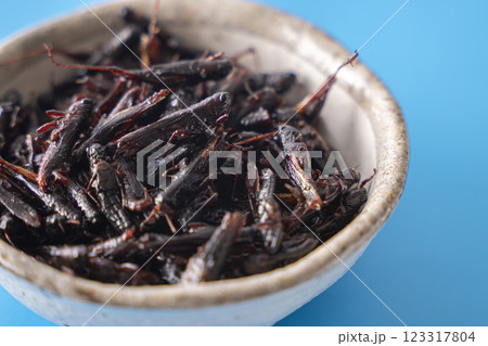 いなごの甘露煮 昆虫食 いなごの甘露煮 昆虫食 123317804