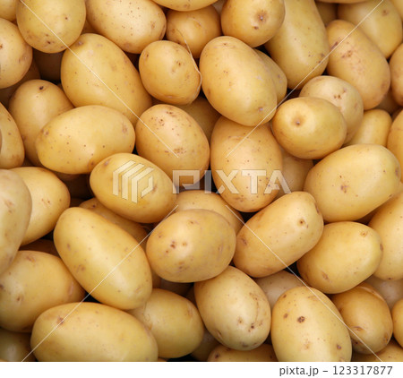 Young potatoes Young potatoes 123317877