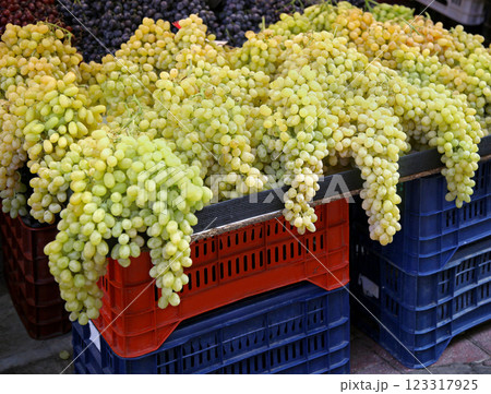 Grapes pile Grapes pile 123317925