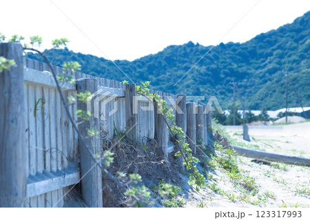 海岸に砂防の杭が打たれていた。風が心地よいロケ地 海岸に砂防の杭が打たれていた。風が心地よいロケ地 123317993