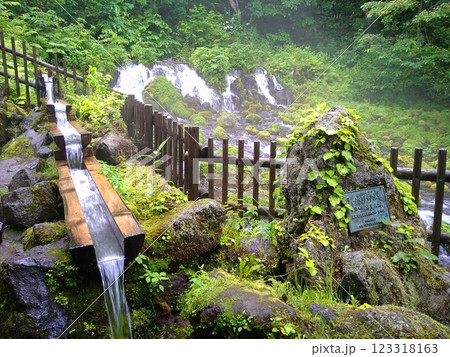 靄る京極ふきだし湧水 123318163