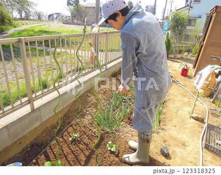 家庭菜園をする男性 家庭菜園をする男性 123318325