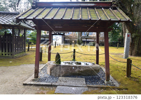 西念寺 2025-1-7 #24 西念寺 2025-1-7 #24 123318376