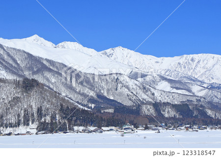 山麓から望む冬の白馬連峰 123318547