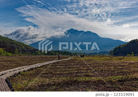 初夏の尾瀬ヶ原を行くハイカーと燧ヶ岳の眺め 初夏の尾瀬ヶ原を行くハイカーと燧ヶ岳の眺め 123319091