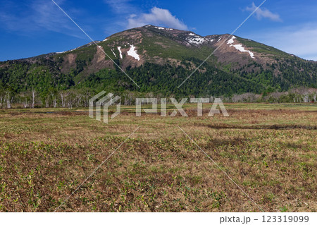 初夏の尾瀬ヶ原から見る残雪の至仏山 123319099
