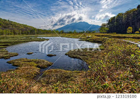 初夏の尾瀬ヶ原の池塘と燧ヶ岳の眺め 初夏の尾瀬ヶ原の池塘と燧ヶ岳の眺め 123319100