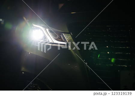 車のヘッドライト 車のヘッドライト 123319139