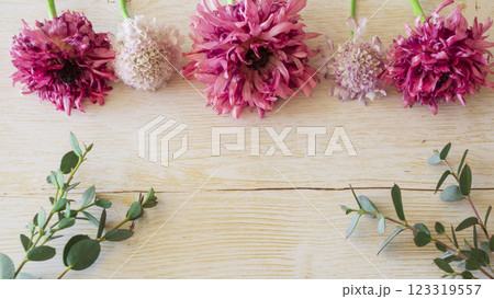 上品なボタニカル:木目背景とピンクの花の静かな美しさ 上品なボタニカル:木目背景とピンクの花の静かな美しさ 123319557