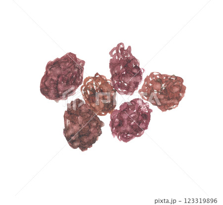 水彩で描いた棗 ナツメ 水彩で描いた棗 ナツメ 123319896