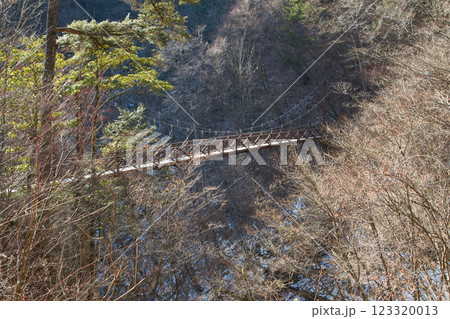 三頭大滝の目の前にかかる橋見橋 三頭大滝の目の前にかかる橋見橋 123320013