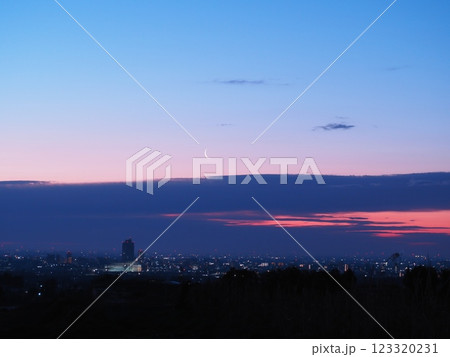 春の夜明けの月（20250226054805） 123320231