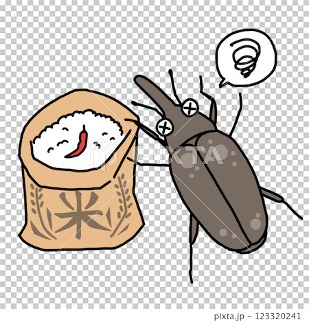 Rice pests: rice weevils and chili peppers 123320241