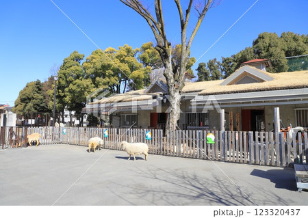 板橋区立こども動物園(東板橋公園内) 草屋根の建物 板橋区立こども動物園(東板橋公園内) 草屋根の建物 123320437
