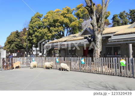 板橋区立こども動物園（東板橋公園内）　草屋根の建物 123320439