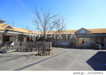 板橋区立こども動物園(東板橋公園内) 草屋根の建物 板橋区立こども動物園(東板橋公園内) 草屋根の建物 123320441