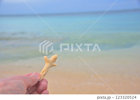 《沖縄県》沖縄のビーチで見つけたサンゴのかけら 123320524