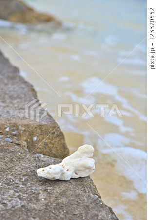 《沖縄県》沖縄のビーチで見つけたサンゴのかけら 《沖縄県》沖縄のビーチで見つけたサンゴのかけら 123320552