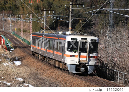 【JR東海】313系1300番台（中央本線：須原〜大桑） 123320664