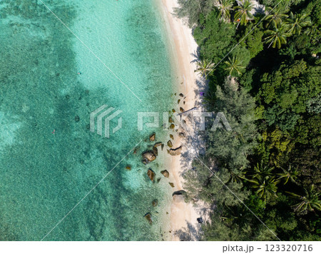 Pristine tropical beach with clear blue green waters, visible rocks, and dense palm trees lining the shore. Ko Pha Ngan, Thailand. Pristine tropical beach with clear blue green waters, visible rocks, and dense palm trees lining the shore. Ko Pha Ngan, Thailand. 123320716