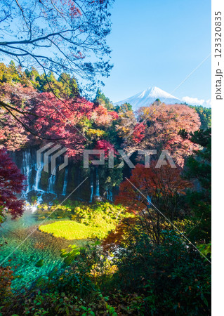 白糸の滝と富士山（秋） 123320835