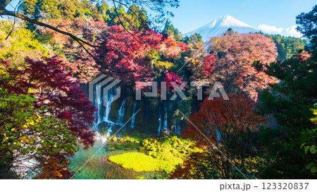 白糸の滝と富士山(秋) 白糸の滝と富士山(秋) 123320837