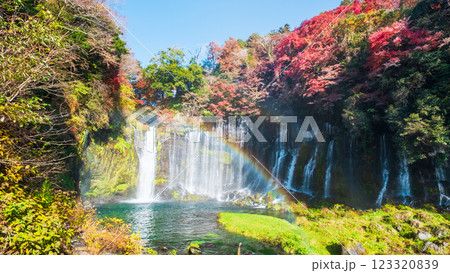 白糸の滝（秋）　[富士宮市] 123320839