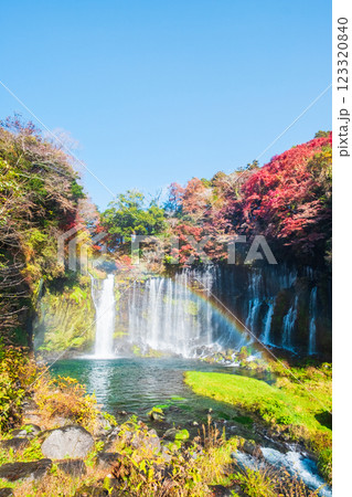 白糸の滝（秋）　[富士宮市] 123320840