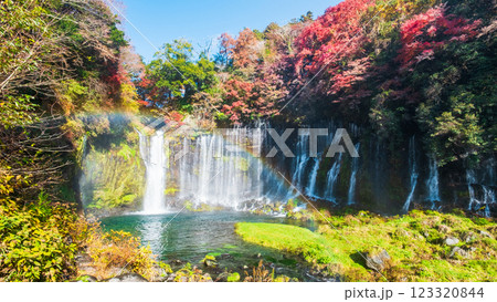 白糸の滝（秋）　[富士宮市] 123320844