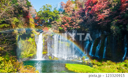 白糸の滝（秋）　[富士宮市] 123320915