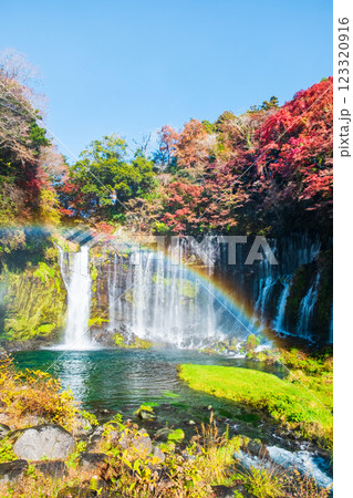 白糸の滝（秋）　[富士宮市] 123320916