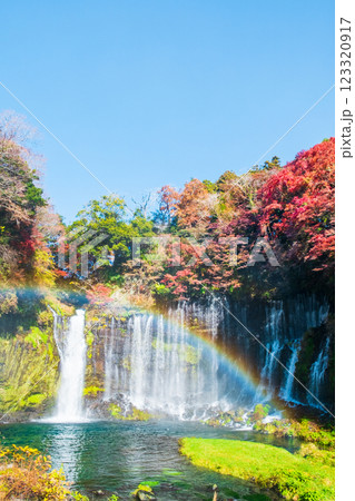 白糸の滝（秋）　[富士宮市] 123320917