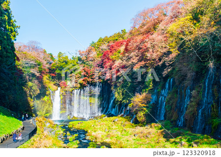 白糸の滝（秋）　[富士宮市] 123320918
