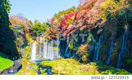 白糸の滝（秋）　[富士宮市] 123320919