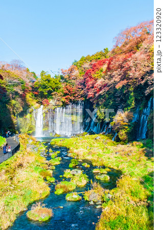 白糸の滝（秋）　[富士宮市] 123320920