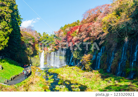 白糸の滝（秋）　[富士宮市] 123320921