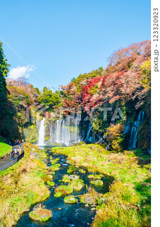 白糸の滝（秋）　[富士宮市] 123320923