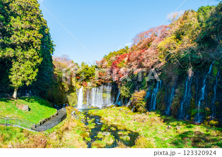 白糸の滝（秋）　[富士宮市] 123320924