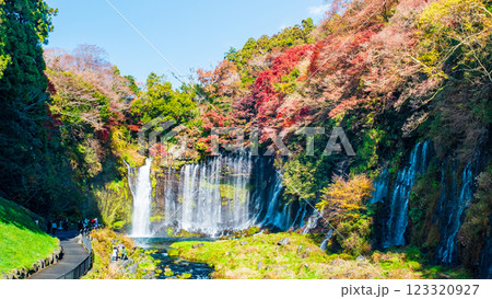 白糸の滝（秋）　[富士宮市] 123320927