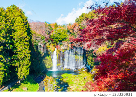 白糸の滝（秋）　[富士宮市] 123320931