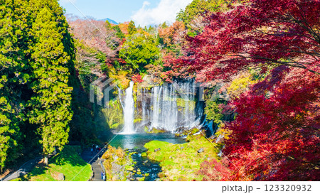 白糸の滝（秋）　[富士宮市] 123320932