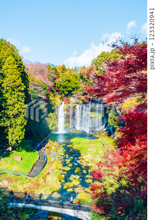 白糸の滝（秋）　[富士宮市] 123320941