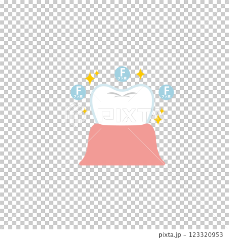 フッ素コーティングして輝く歯のイラスト 123320953