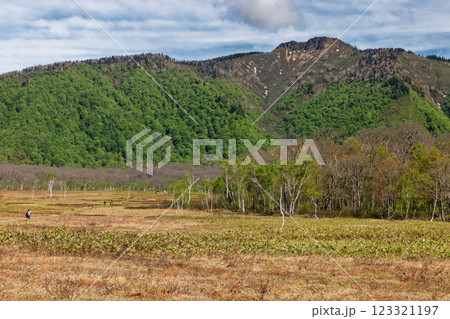 初夏の尾瀬ヶ原・竜宮付近から見る新緑の景鶴山 123321197
