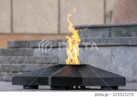 Eternal flame in memory of the fallen soldiers in the war.  123321278