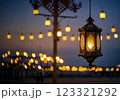 lantern on the background of night sky 123321292